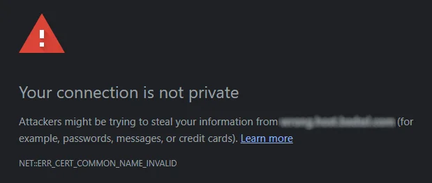 Your connection is not private warning from Google